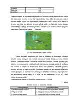 Referāts 'Virsmas spraigums', 5.