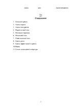 Biznesa plāns 'Бизнес-план', 2.