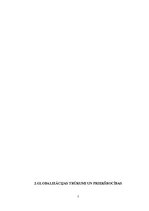 Referāts 'Globalizācijas analīze socioloģijā', 7.