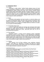 Referāts 'Globalizācijas analīze socioloģijā', 10.