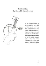 Prakses atskaite 'Ķīmiskie ilgviļņi', 7.