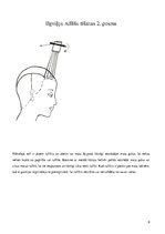 Prakses atskaite 'Ķīmiskie ilgviļņi', 8.