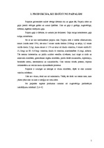 Referāts 'Paipalas', 3.