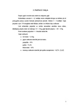 Referāts 'Paipalas', 5.