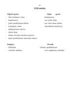 Biznesa plāns 'Noieta plāns kafejnīcai', 20.