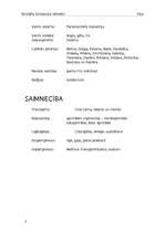 Referāts 'Īrija', 3.