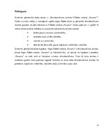 Referāts 'Eksistenciālisma iezīmes Ingas Ābeles romānā "Paisums"', 19.