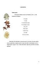 Referāts 'Anīss', 9.