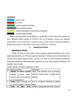 Prakses atskaite 'Prakses atskaite', 18.