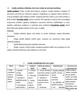 Prakses atskaite 'Prakses atskaite', 21.