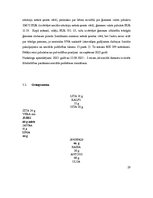 Prakses atskaite 'Prakses atskaite', 29.