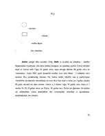 Prakses atskaite 'Prakses atskaite', 30.