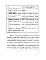 Prakses atskaite 'Prakses atskaite', 34.