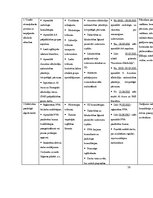 Prakses atskaite 'Prakses atskaite', 38.