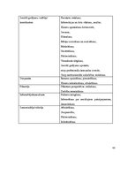 Prakses atskaite 'Prakses atskaite', 48.