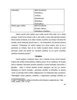 Prakses atskaite 'Prakses atskaite', 49.