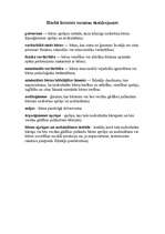 Konspekts 'Bērnu tiesību konvencijas 9. panta 3. punkta analīze', 10.