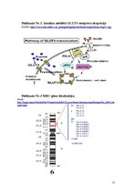 Referāts 'Pirmā tipa cukura diabēts', 15.