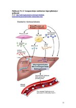 Referāts 'Pirmā tipa cukura diabēts', 21.