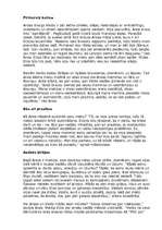 Konspekts 'Ance Krauze', 2.