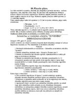 Konspekts 'Dabas zinību stundu plāni', 45.