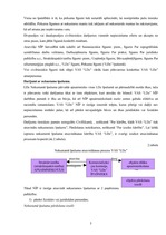 Prakses atskaite 'VAS "Latvijas Dzelzceļš" Nekustamo īpašumu pārvaldes darbības izpēte', 5.