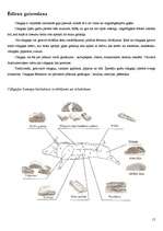 Referāts 'Uztura organizācija sievietēm', 15.