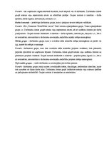 Paraugs 'Biznesa komunikācijas', 7.