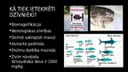 Prezentācija 'Ekoloģiska katastrofa - Minamatas slimība', 6.