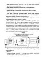 Konspekts 'Sadales kanāli un produktu pārvietošana. Produktu virzīšana tirgū', 3.