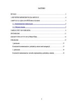 Referāts 'Sievietes reprezentācija ziņu portāla Delfi.lv sadaļā "Sievietēm" 13.-19.janvārī', 2.