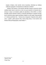 Referāts 'Civilās aizsardzības plāns Daugavpils pilsētas teritorijā', 11.