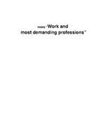 Eseja 'Work and Most Demanding Professions', 1.