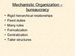 Prezentācija 'Basic Organization Designs', 14.