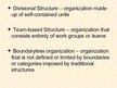 Prezentācija 'Basic Organization Designs', 17.