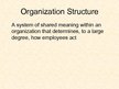 Prezentācija 'Basic Organization Designs', 19.