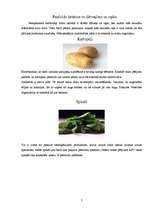 Referāts 'Pesticīdu izmantošanas izvērtējums lauksaimniecībā ', 7.