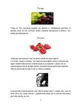 Referāts 'Pesticīdu izmantošanas izvērtējums lauksaimniecībā ', 8.