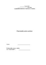 Prakses atskaite 'Profesionālās prakses pārskats SIA "Aleksart"', 1.