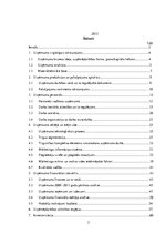 Prakses atskaite 'Profesionālās prakses pārskats SIA "Aleksart"', 2.