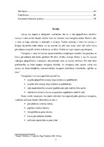 Prakses atskaite 'Profesionālās prakses pārskats SIA "Aleksart"', 3.