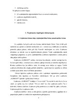 Prakses atskaite 'Profesionālās prakses pārskats SIA "Aleksart"', 5.