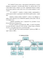 Prakses atskaite 'Profesionālās prakses pārskats SIA "Aleksart"', 6.