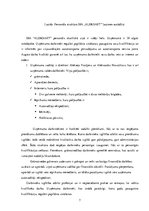 Prakses atskaite 'Profesionālās prakses pārskats SIA "Aleksart"', 7.