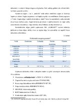 Prakses atskaite 'Profesionālās prakses pārskats SIA "Aleksart"', 9.