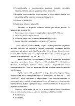 Prakses atskaite 'Profesionālās prakses pārskats SIA "Aleksart"', 11.