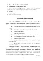 Prakses atskaite 'Profesionālās prakses pārskats SIA "Aleksart"', 12.