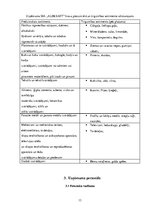 Prakses atskaite 'Profesionālās prakses pārskats SIA "Aleksart"', 13.