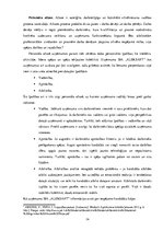 Prakses atskaite 'Profesionālās prakses pārskats SIA "Aleksart"', 14.