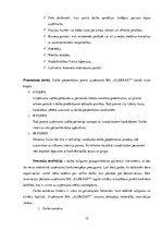 Prakses atskaite 'Profesionālās prakses pārskats SIA "Aleksart"', 15.